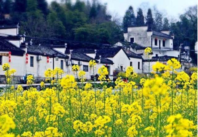 Xishan Wutong Qinyuan Huangshan Exterior photo